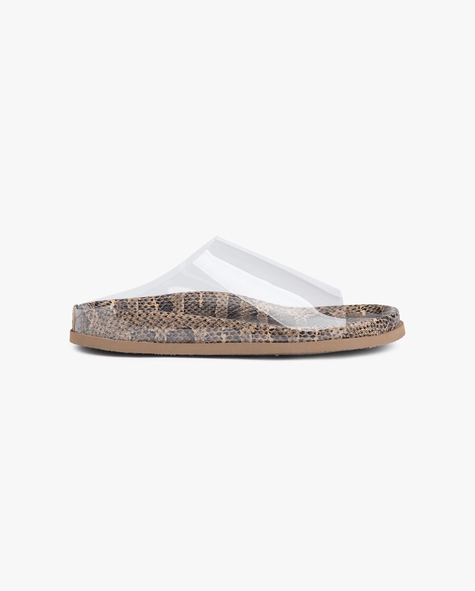 Darice Sand Vipera-Jelly