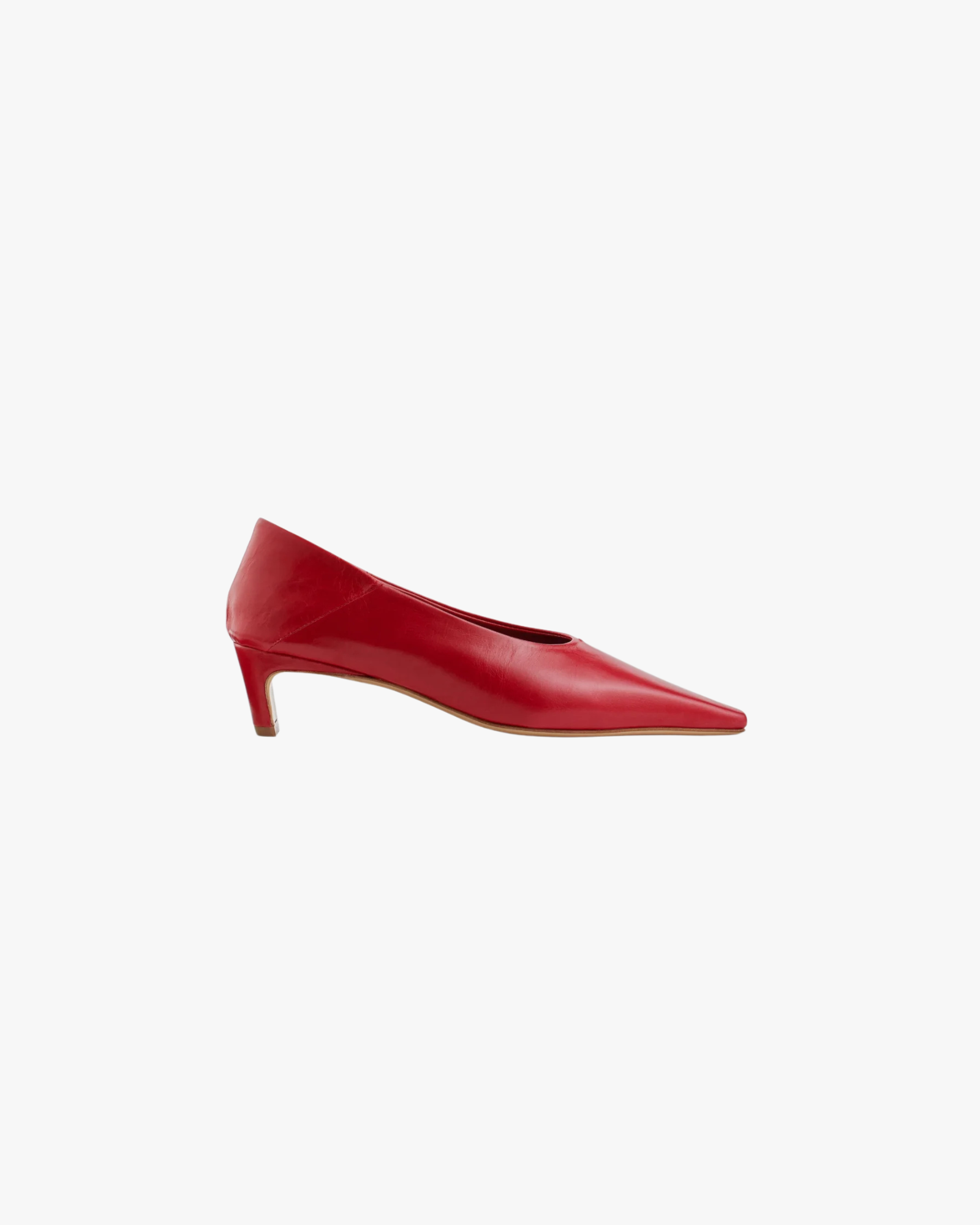 Dyan Fiamma Leather Pointed Toe Pump