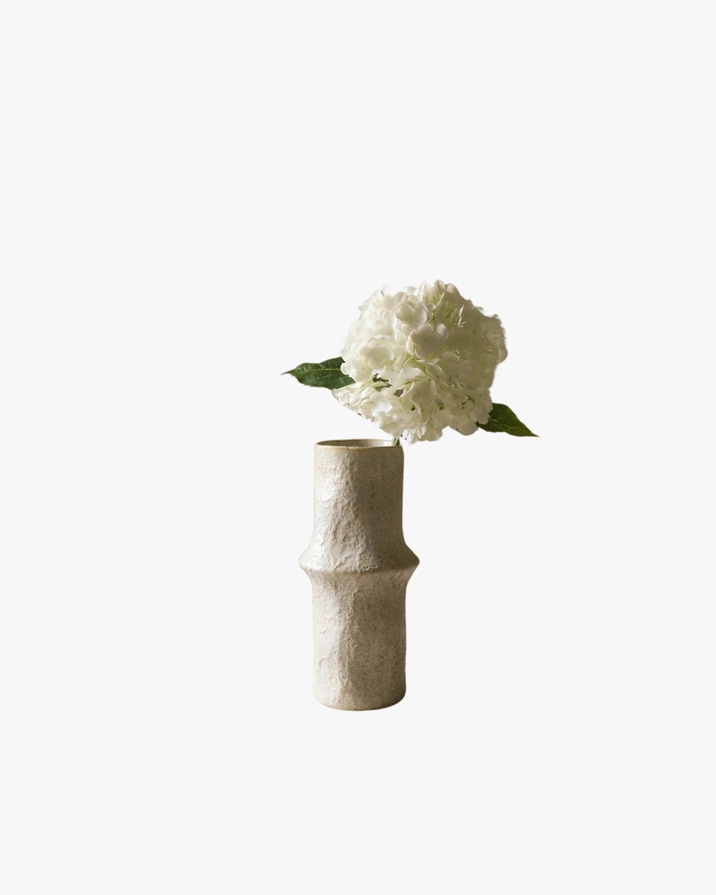 White Hydrangea Flower