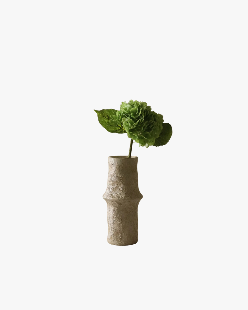 Green Hydrangea Flower