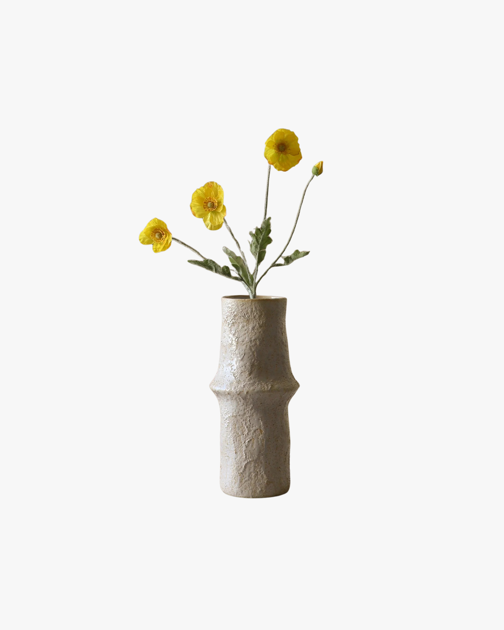 Yellow Poppy Flower