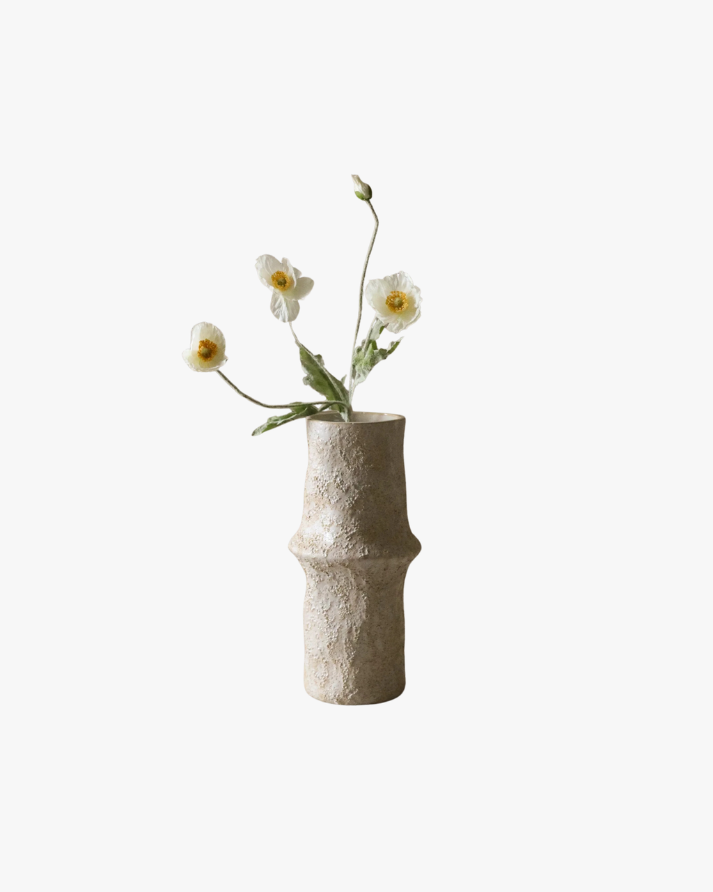 White Poppy Flower