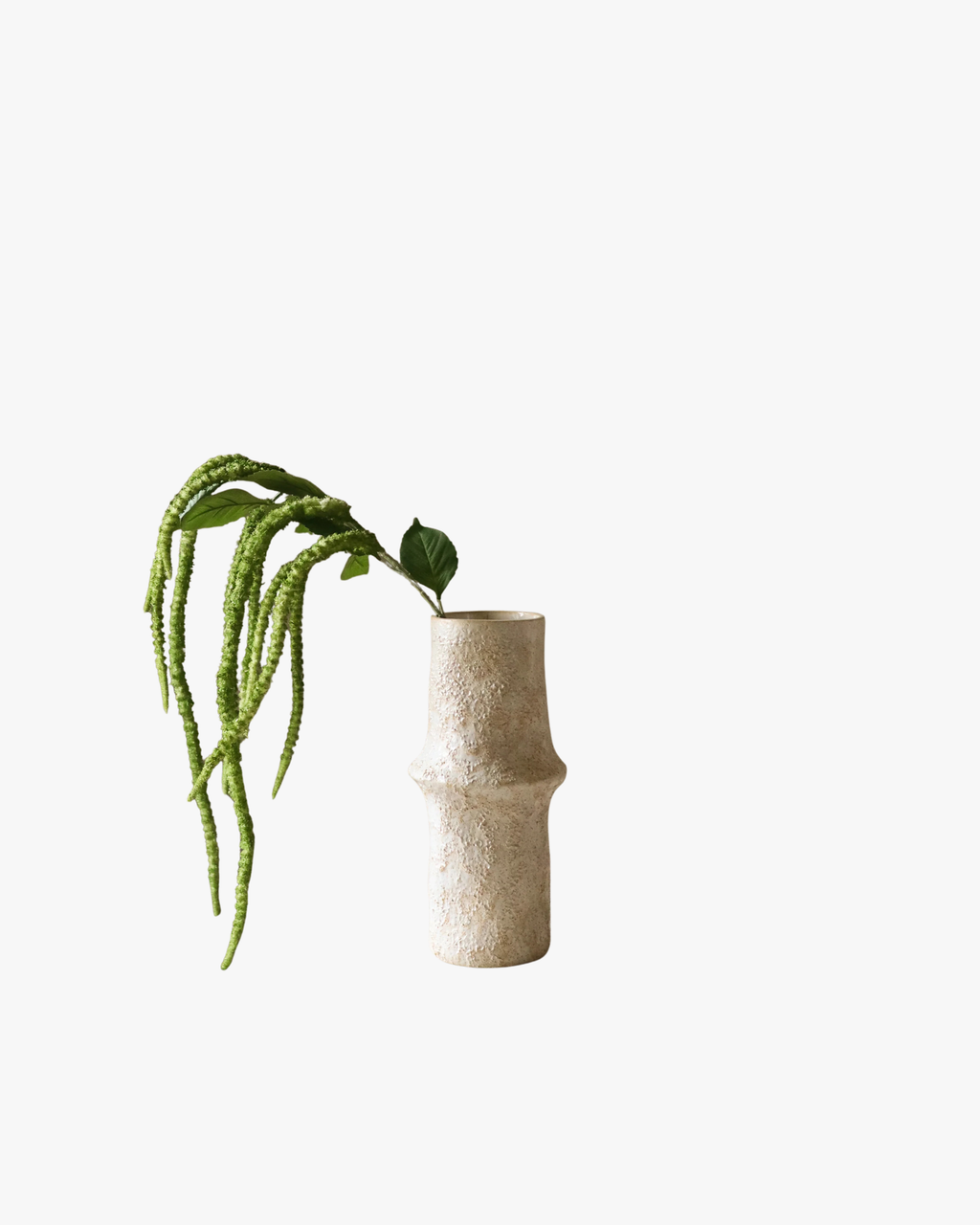 Green Three Forks Amaranthus Flower
