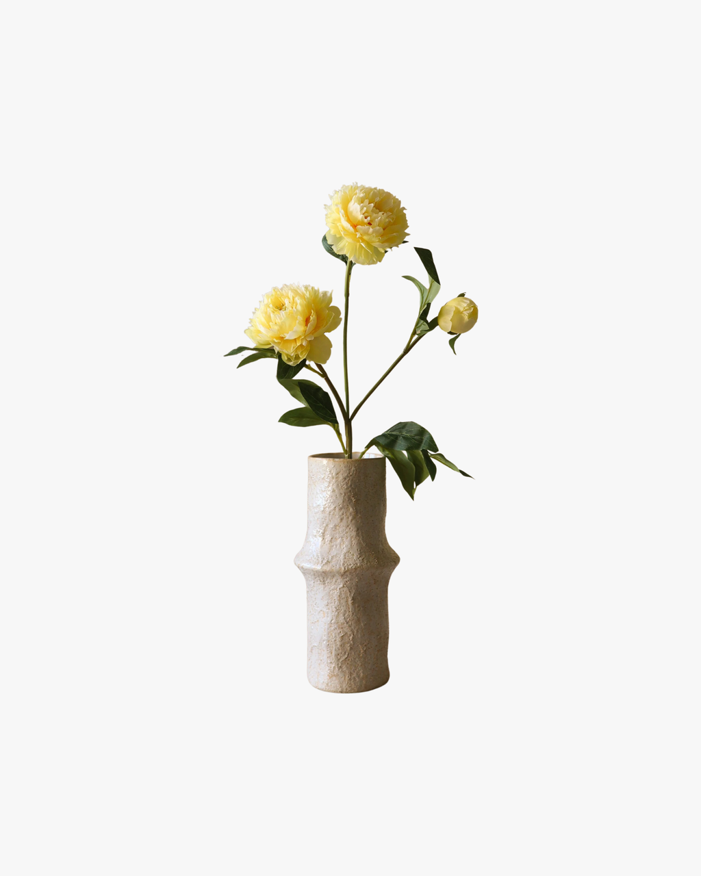 Yellow Peony Flower