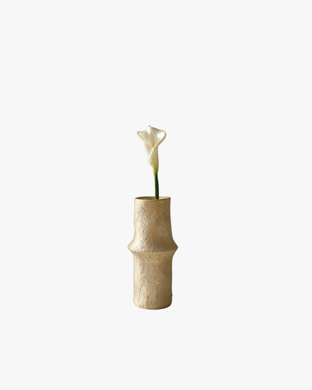 White Calla Lily Flower