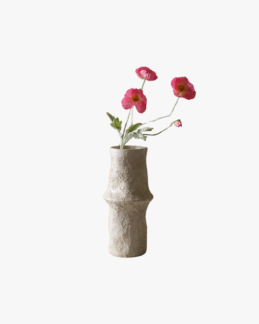 Pink Poppy Flower