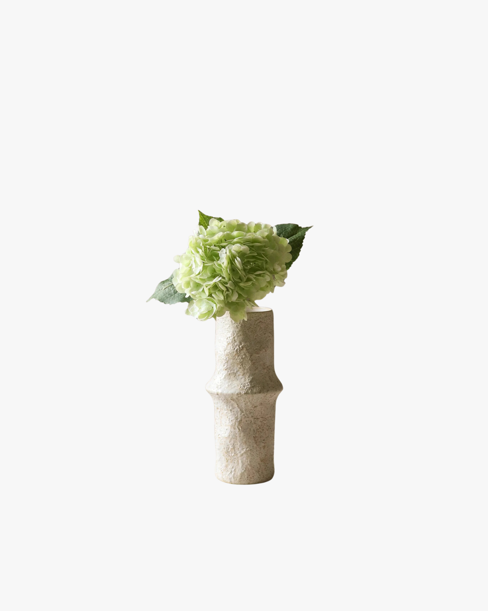 Light Green Hydrangea Flower