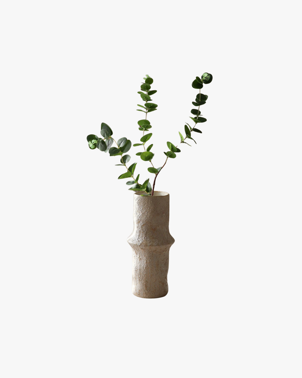 Green Eucalyptus Three Leaves