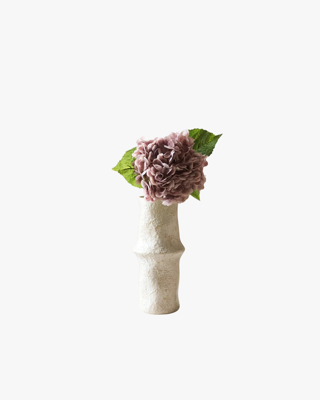 Light Purple Hydrangea Flower