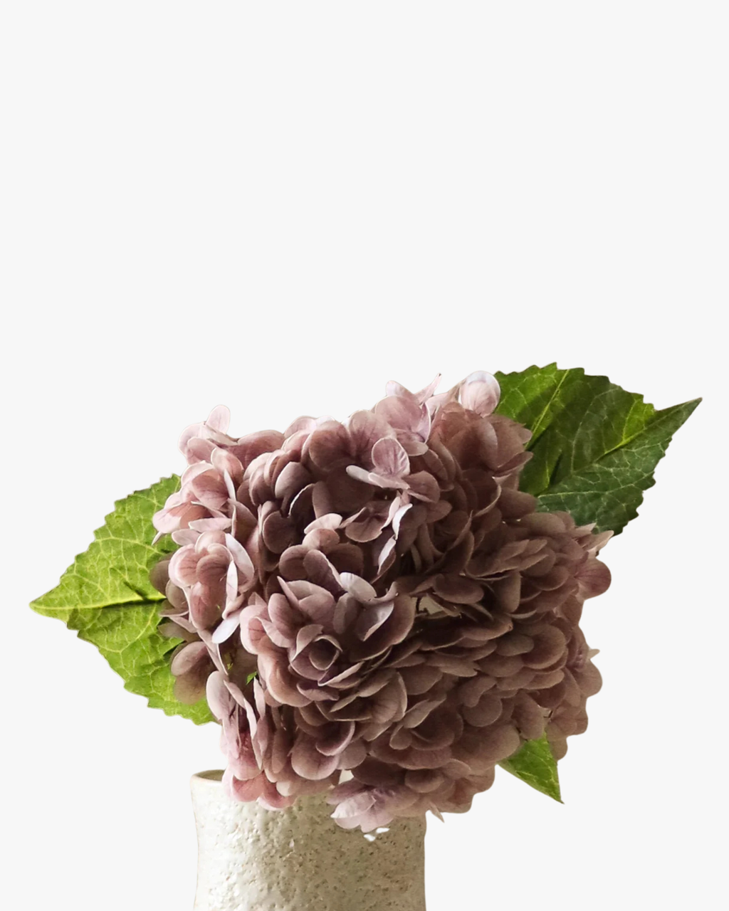 Light Purple Hydrangea Flower