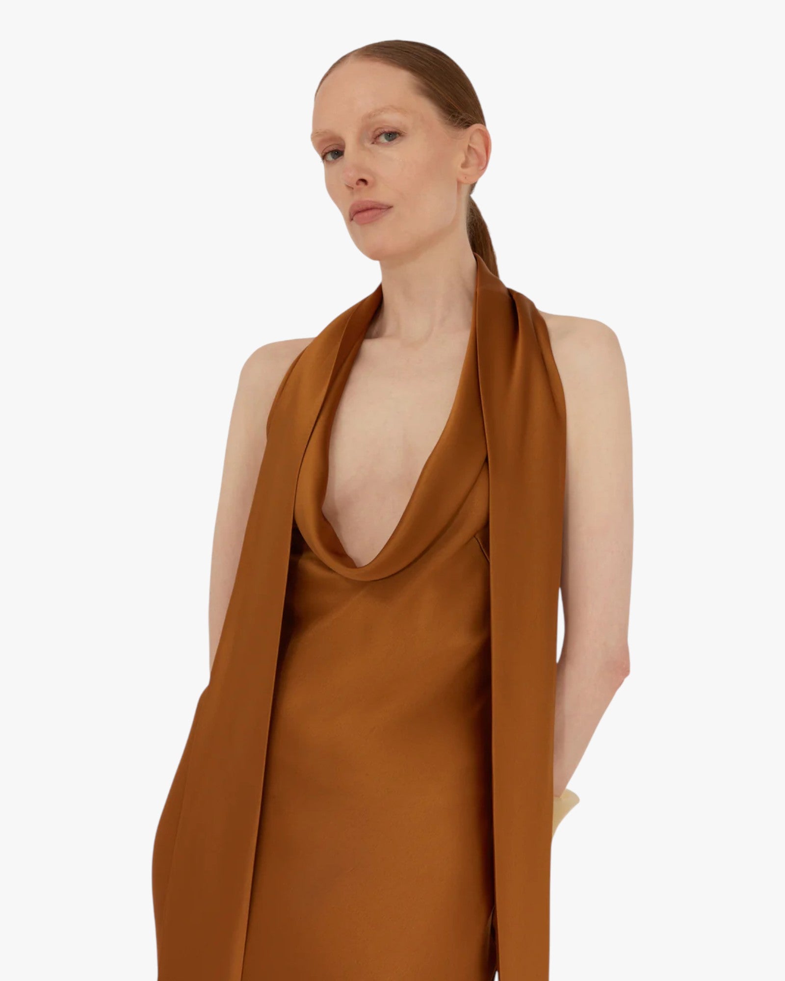 Delphinus Dress