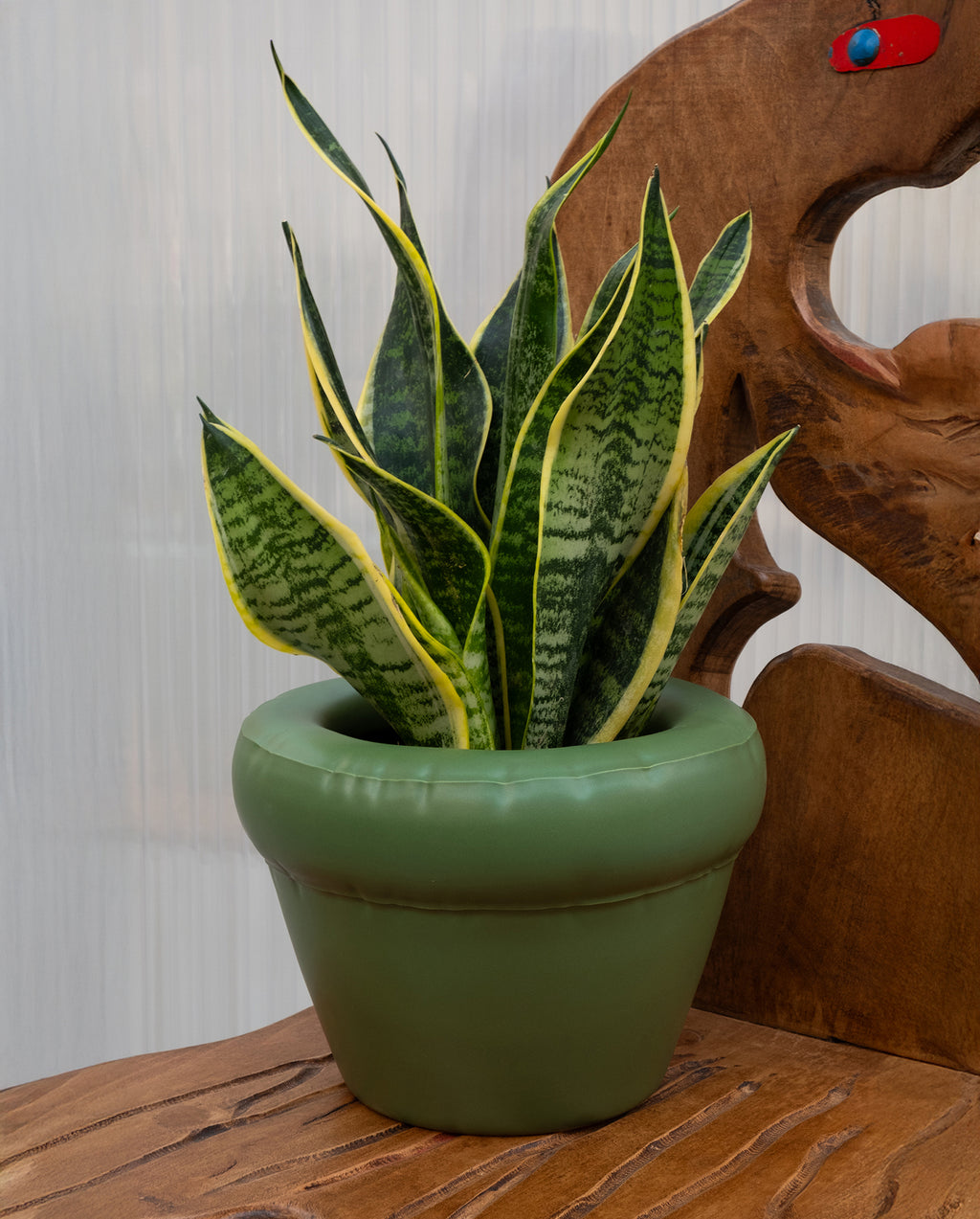 Pierre Planter Moss