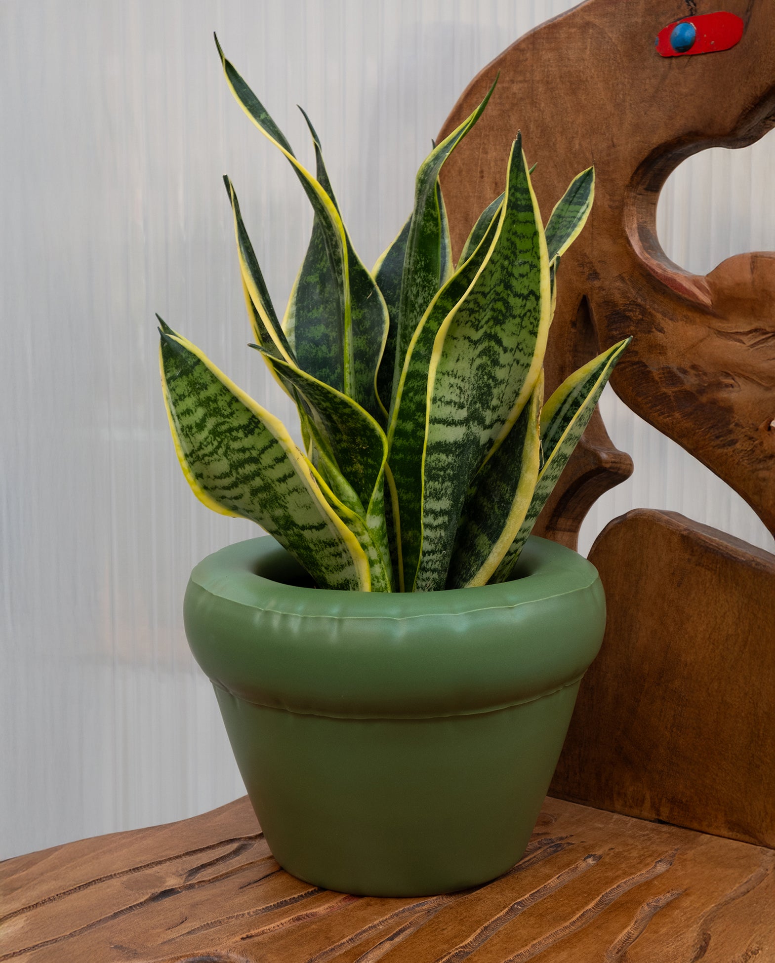 Pierre Planter Moss