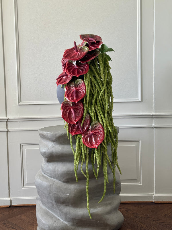 Transform your interiors with Botané