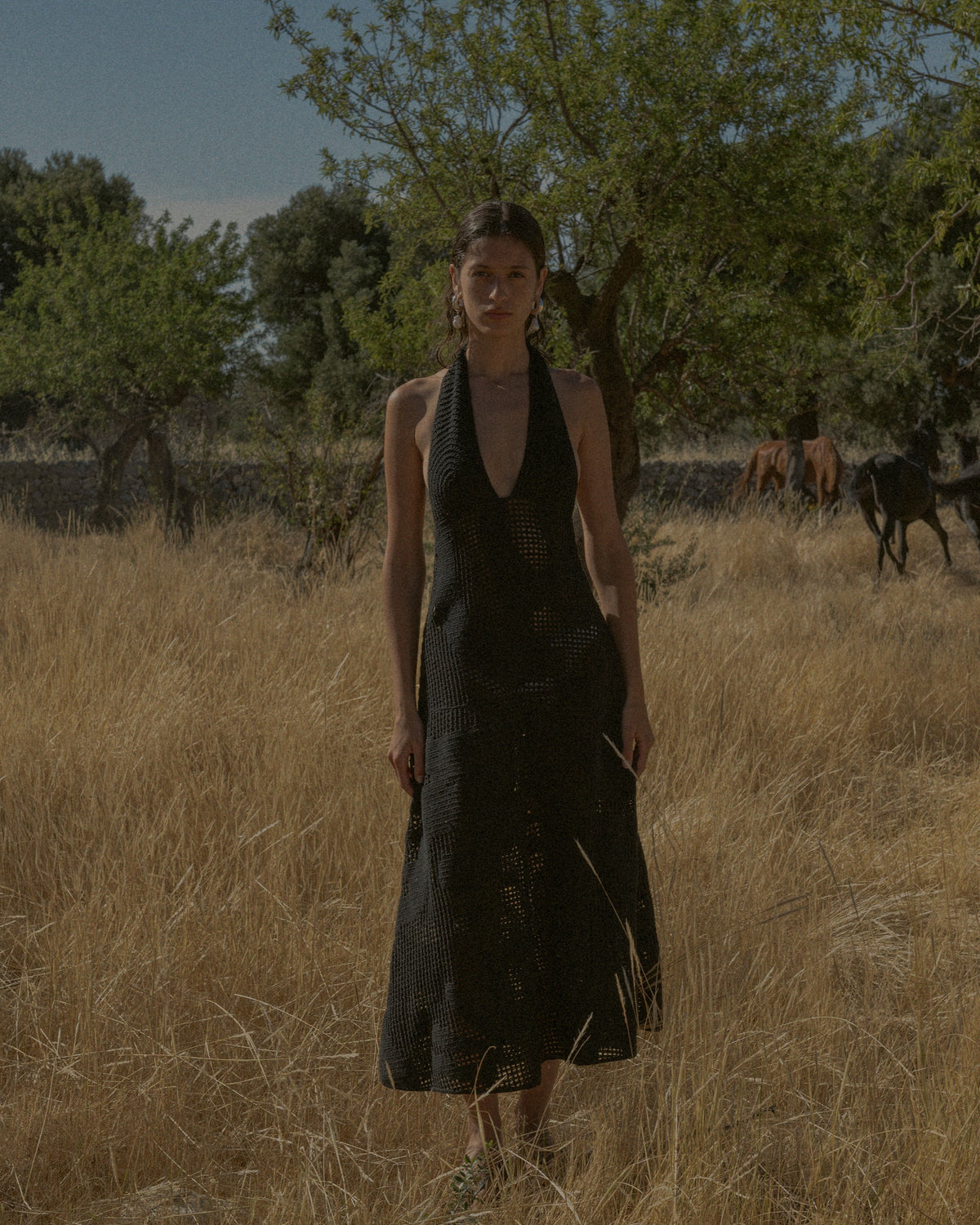 Fotini Dress