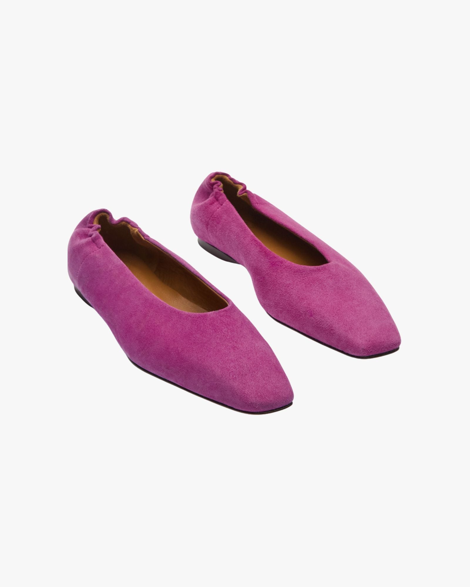 Pointy Ballerina Moena Supernova Camoscio