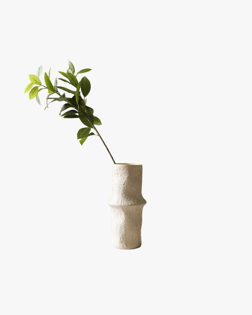 Green Ruscus Leaves