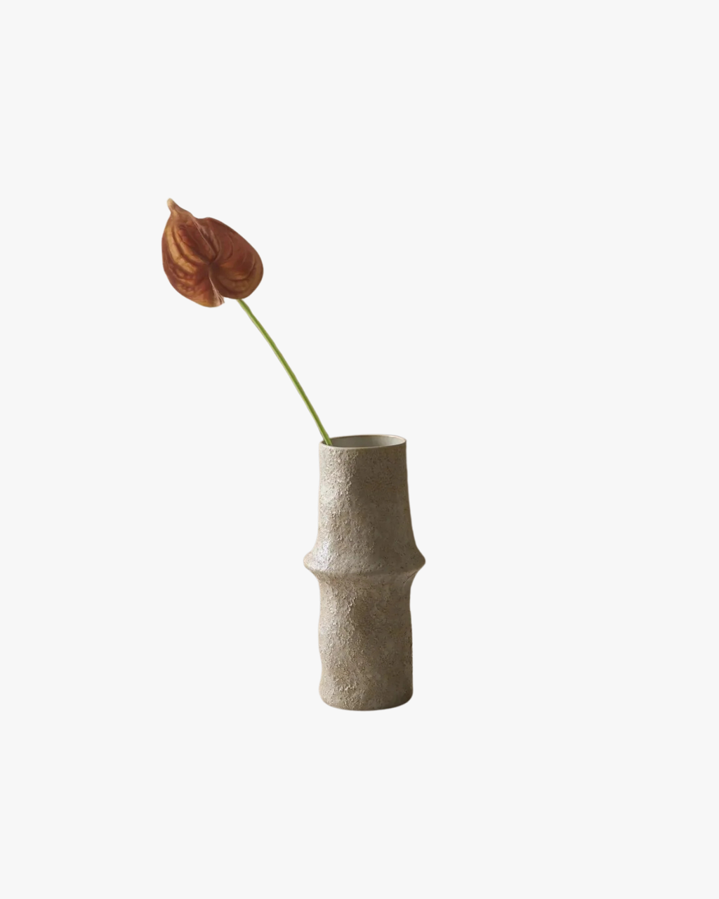 Rose Small Anthurium Flower