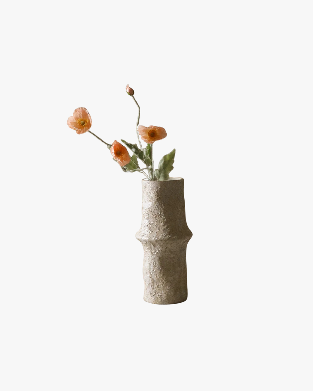 Coral Poppy Flower