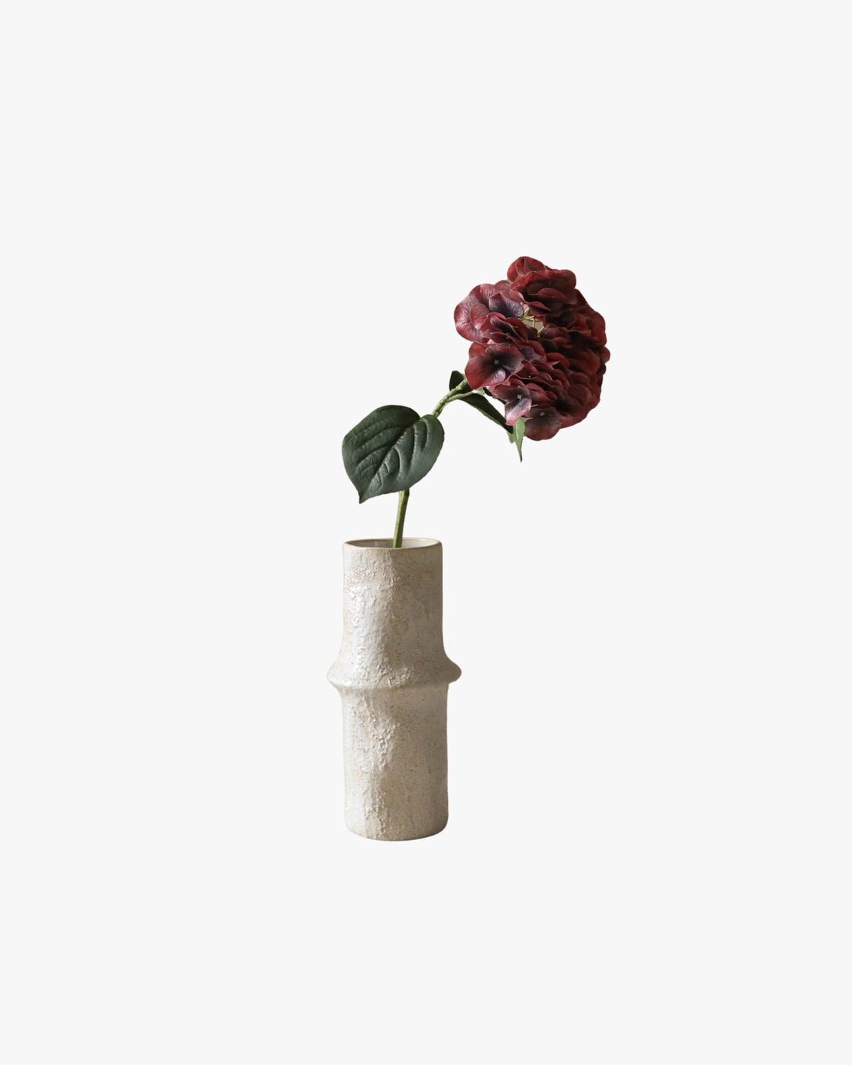 Burgundy Hydrangea Flower