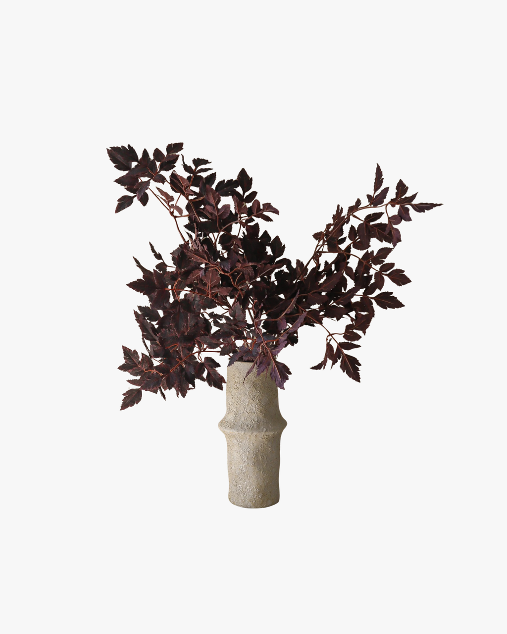 Burgundy Plum Leaves