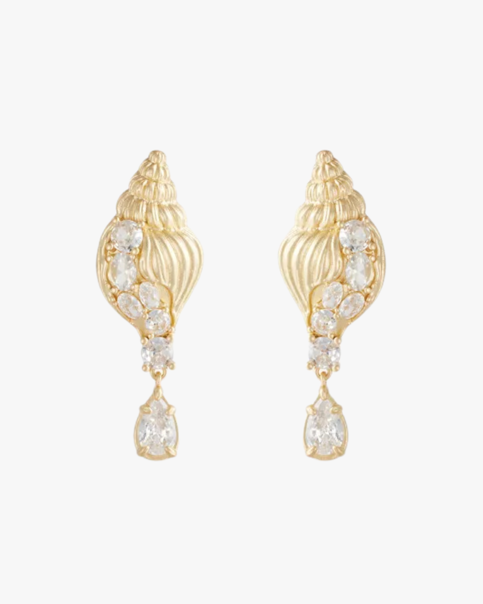 Earrings Mercenaria