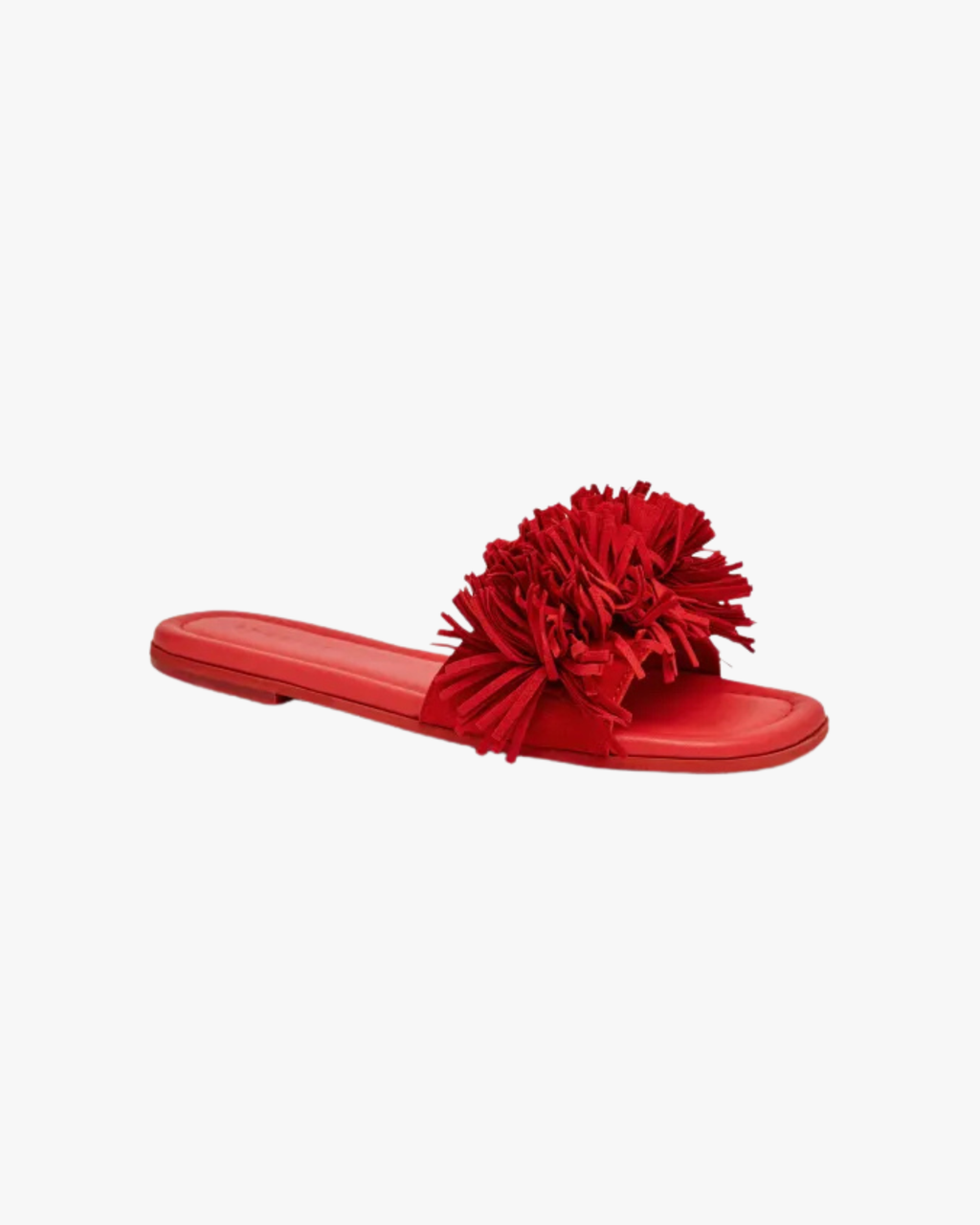 Slides Fringes Flower Red