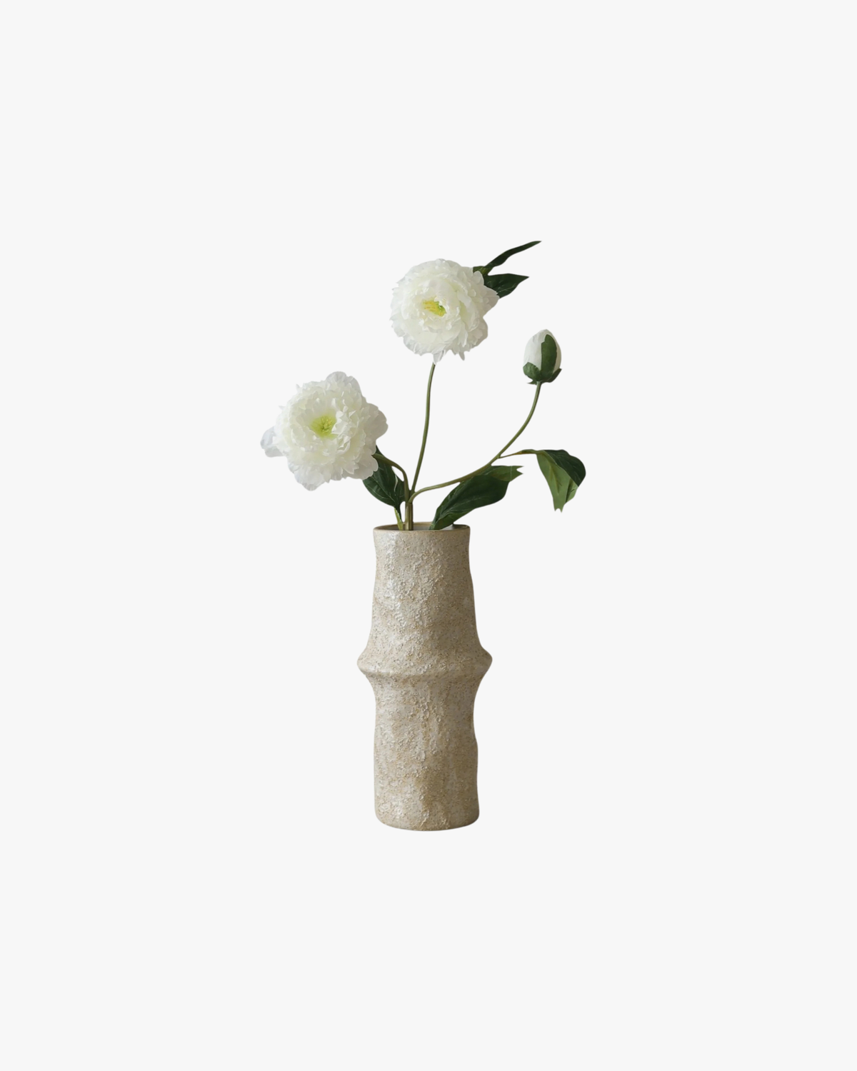 White Peony Flower