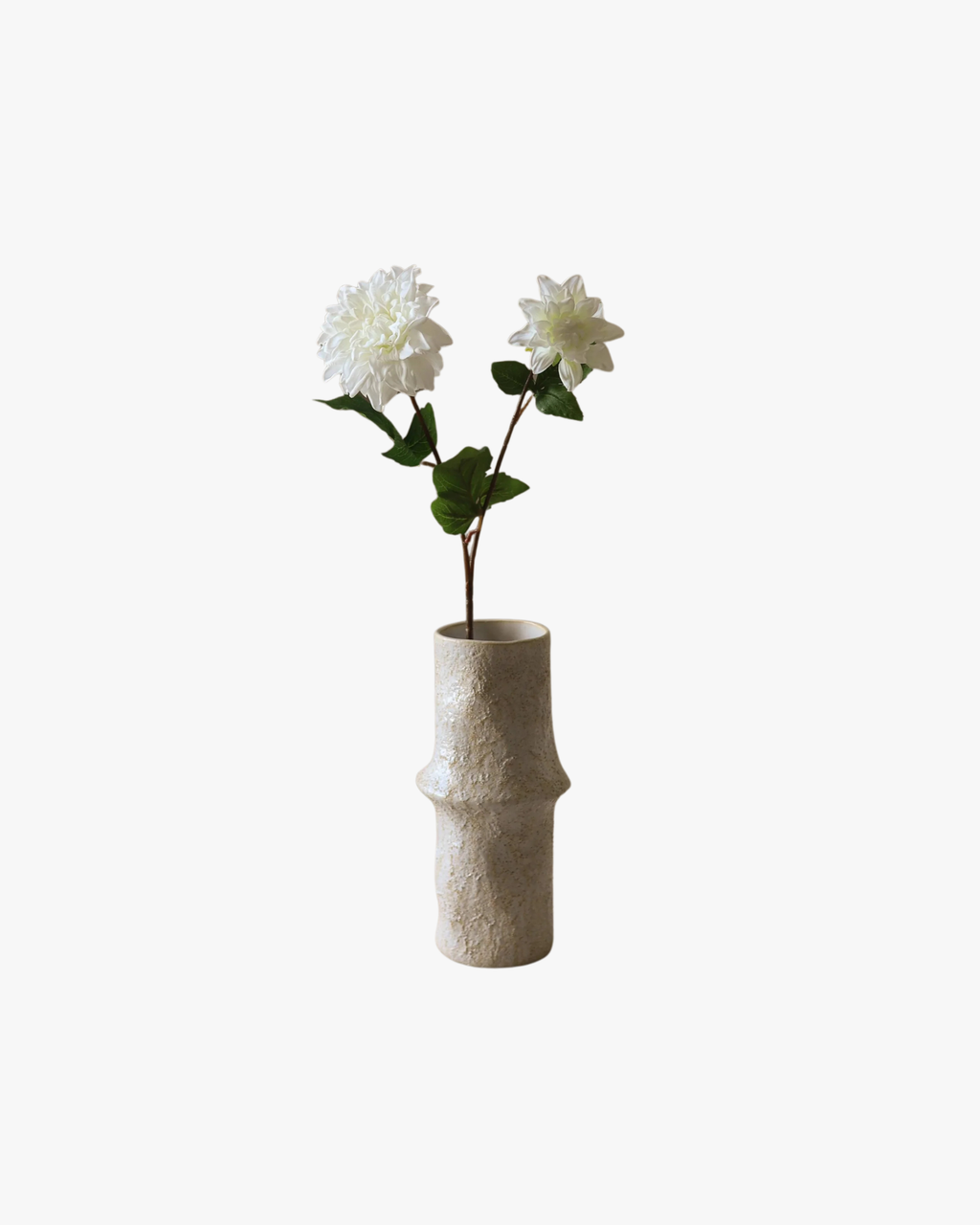 White Dahlia Flower