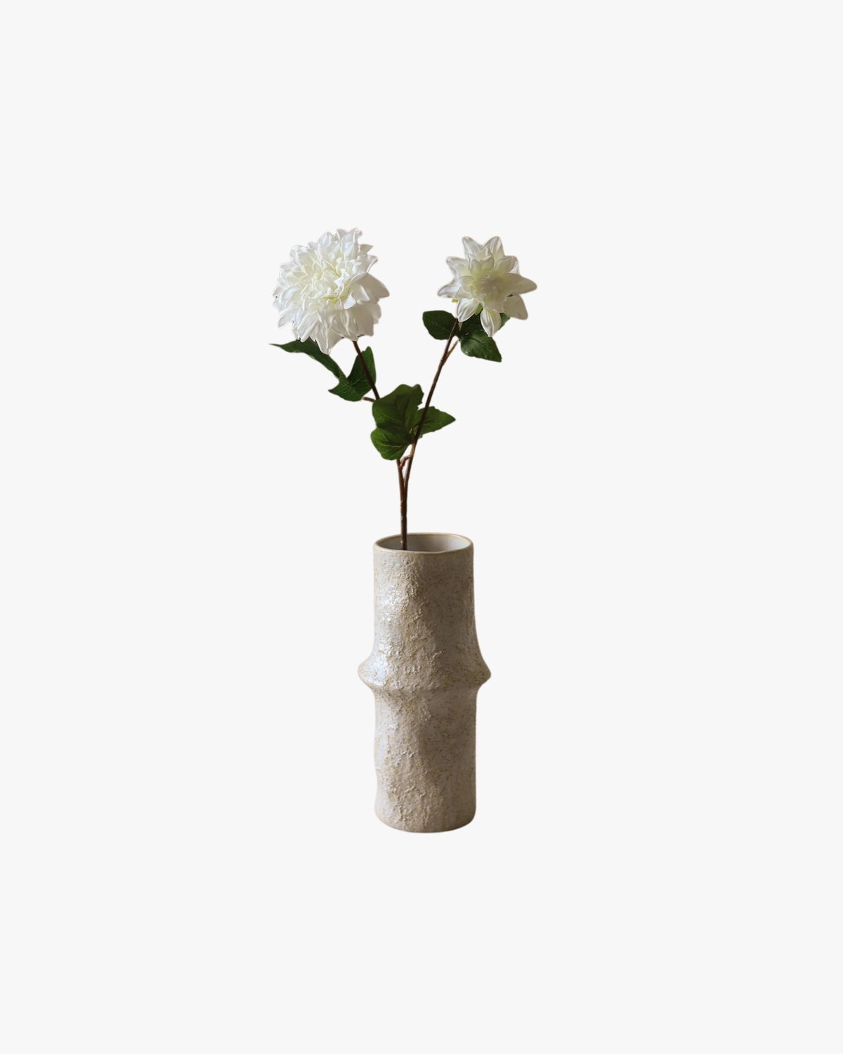White Dahlia Flower