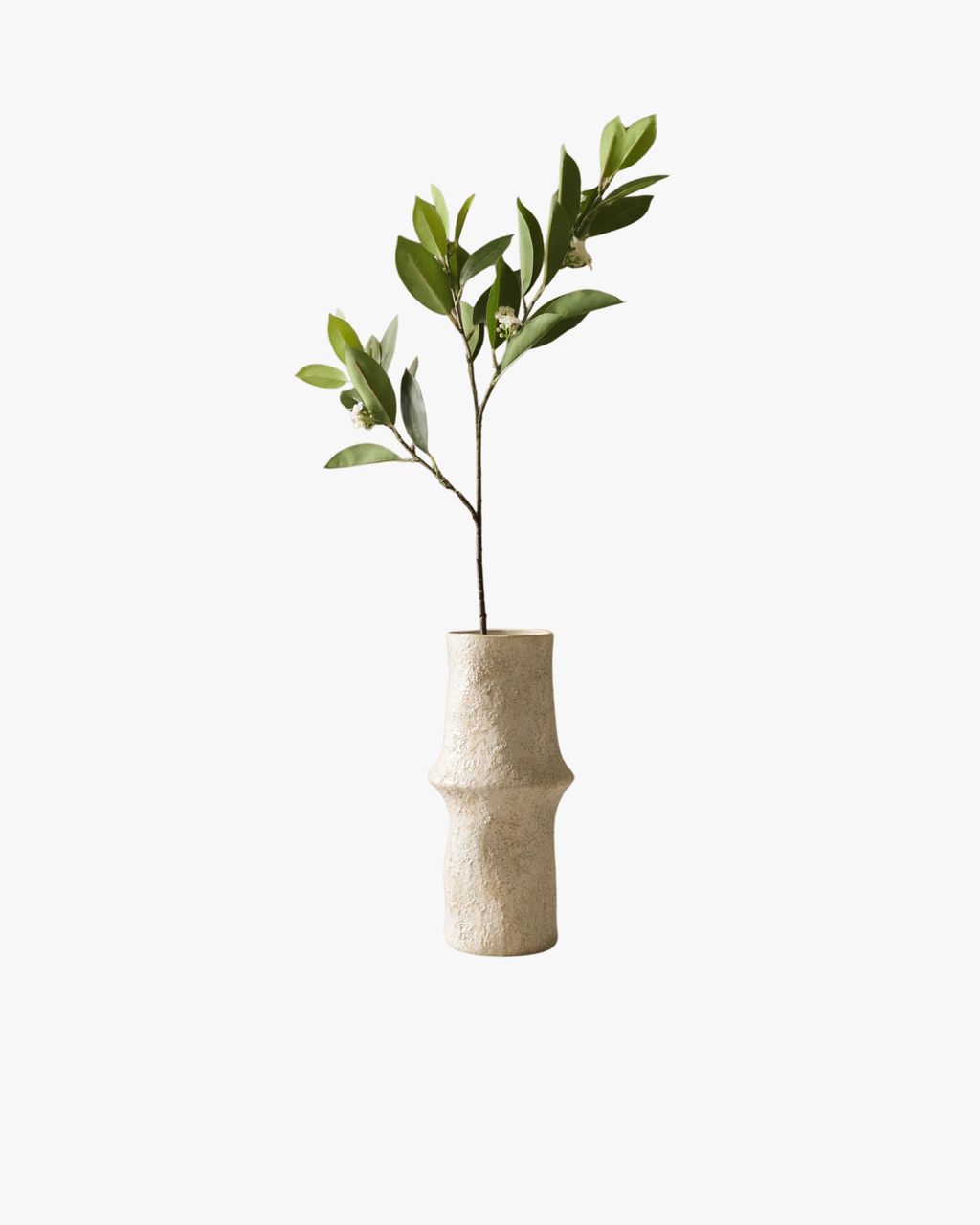 Green Jasmine Leaves