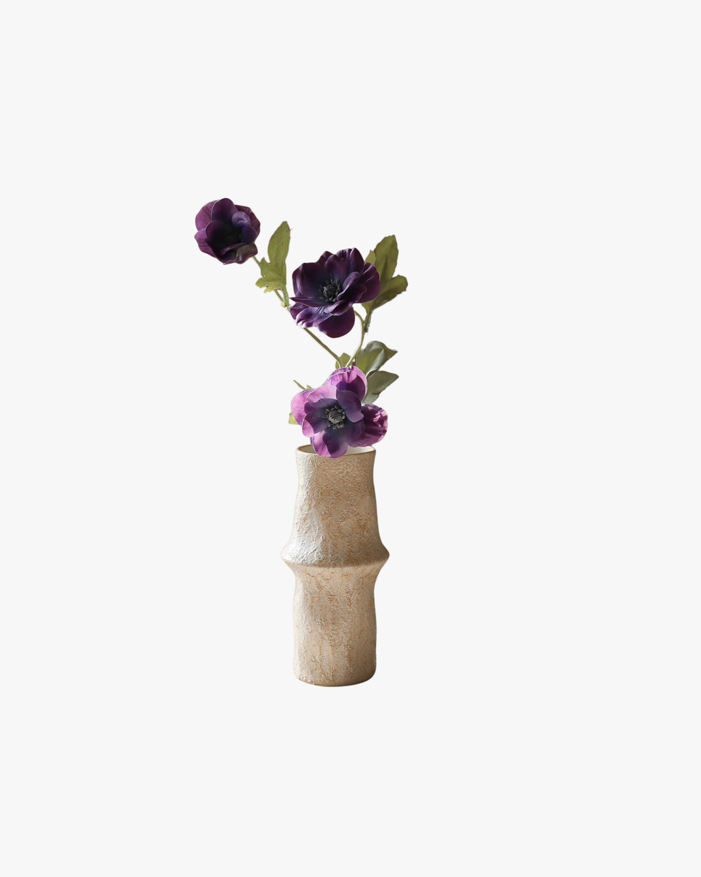 Purple Anemone Flower
