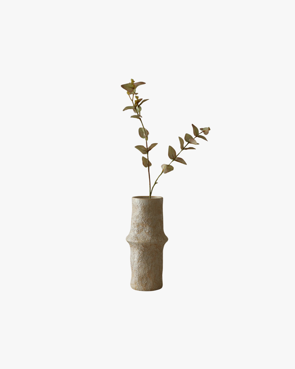 White Eucalyptus Leaves