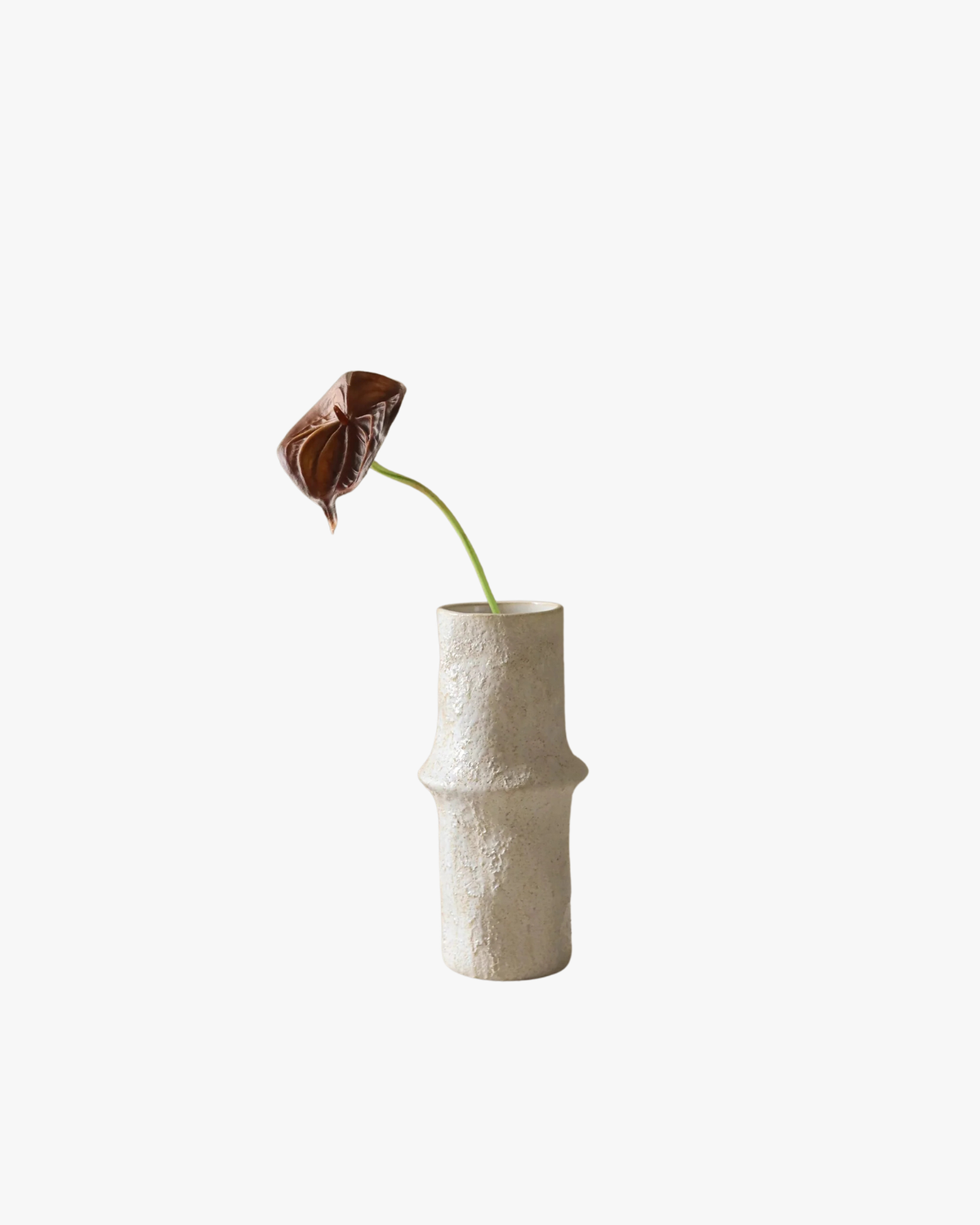 Brown Small Anthurium Flower