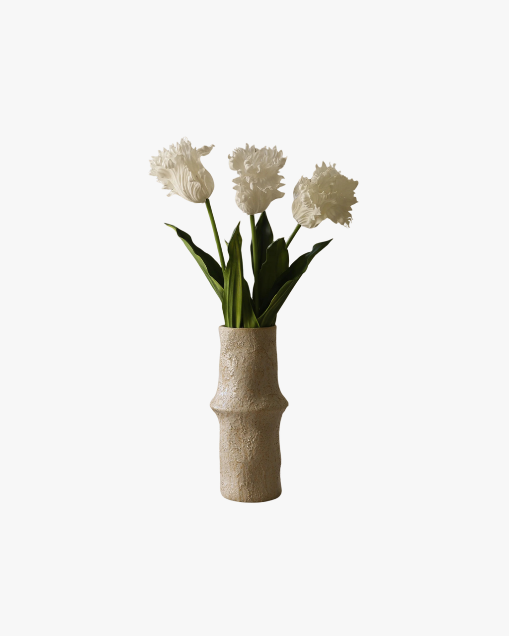 White Large Parrot Tulip Flower