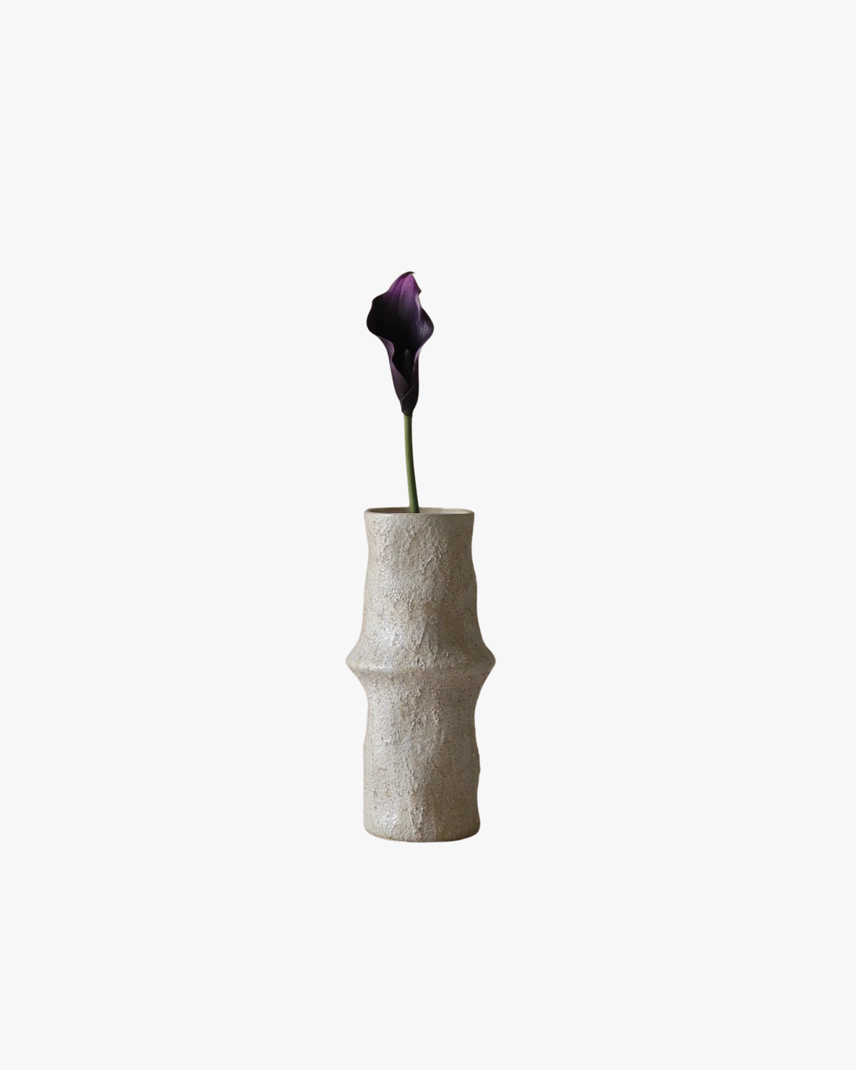Dark Purple Calla Lily Flower
