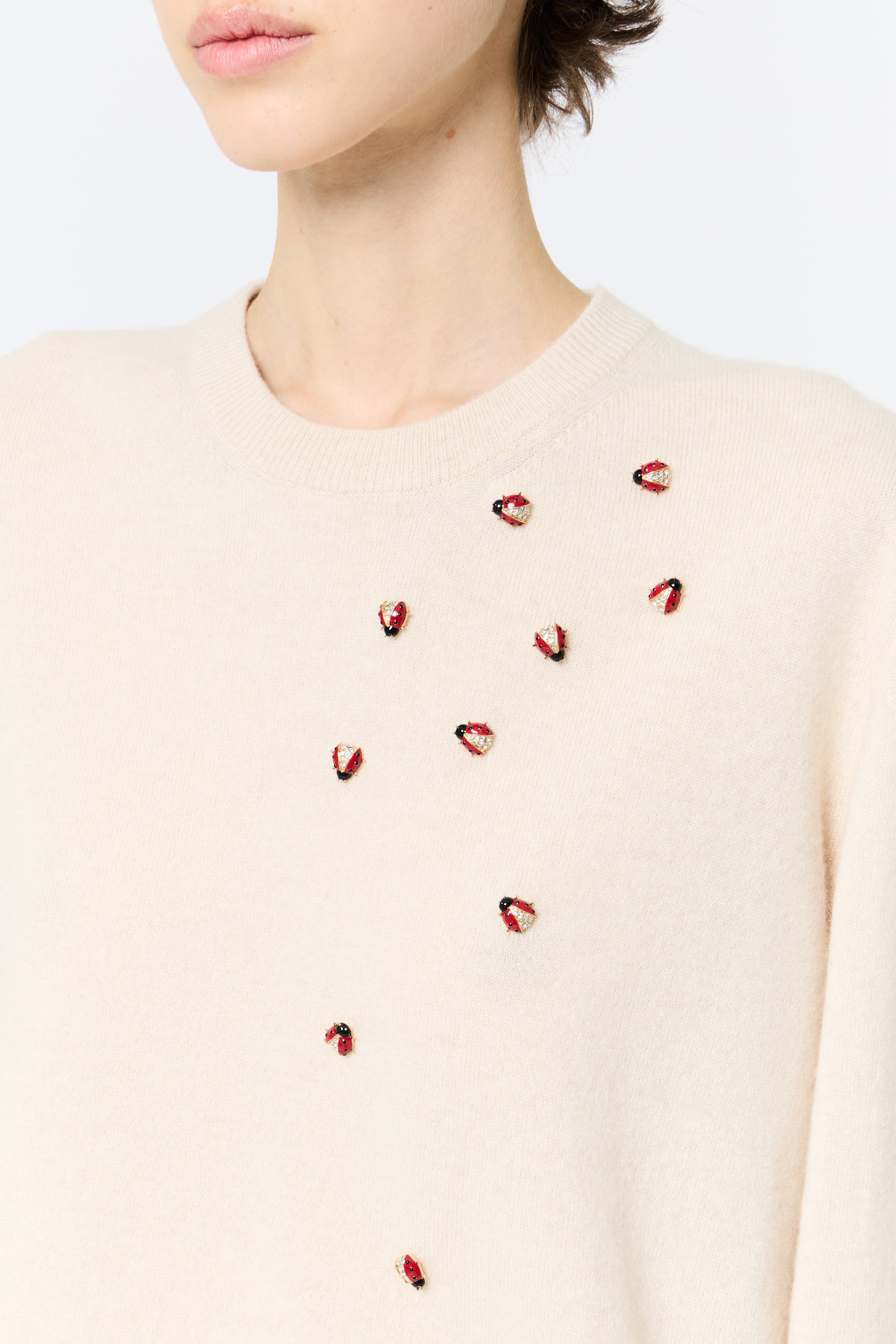Brooch – Enamel Ladybug