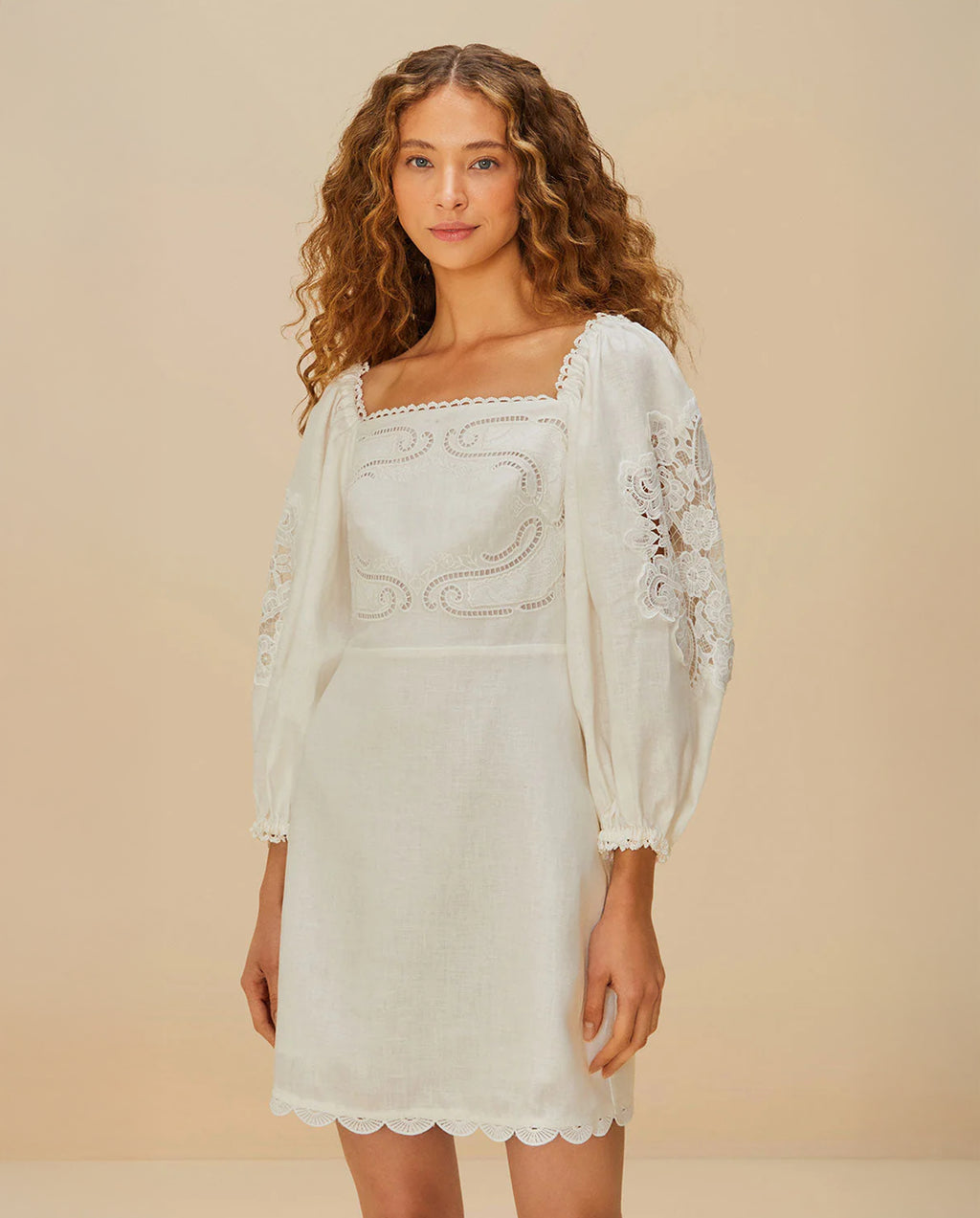 Embroidered Mini Dress