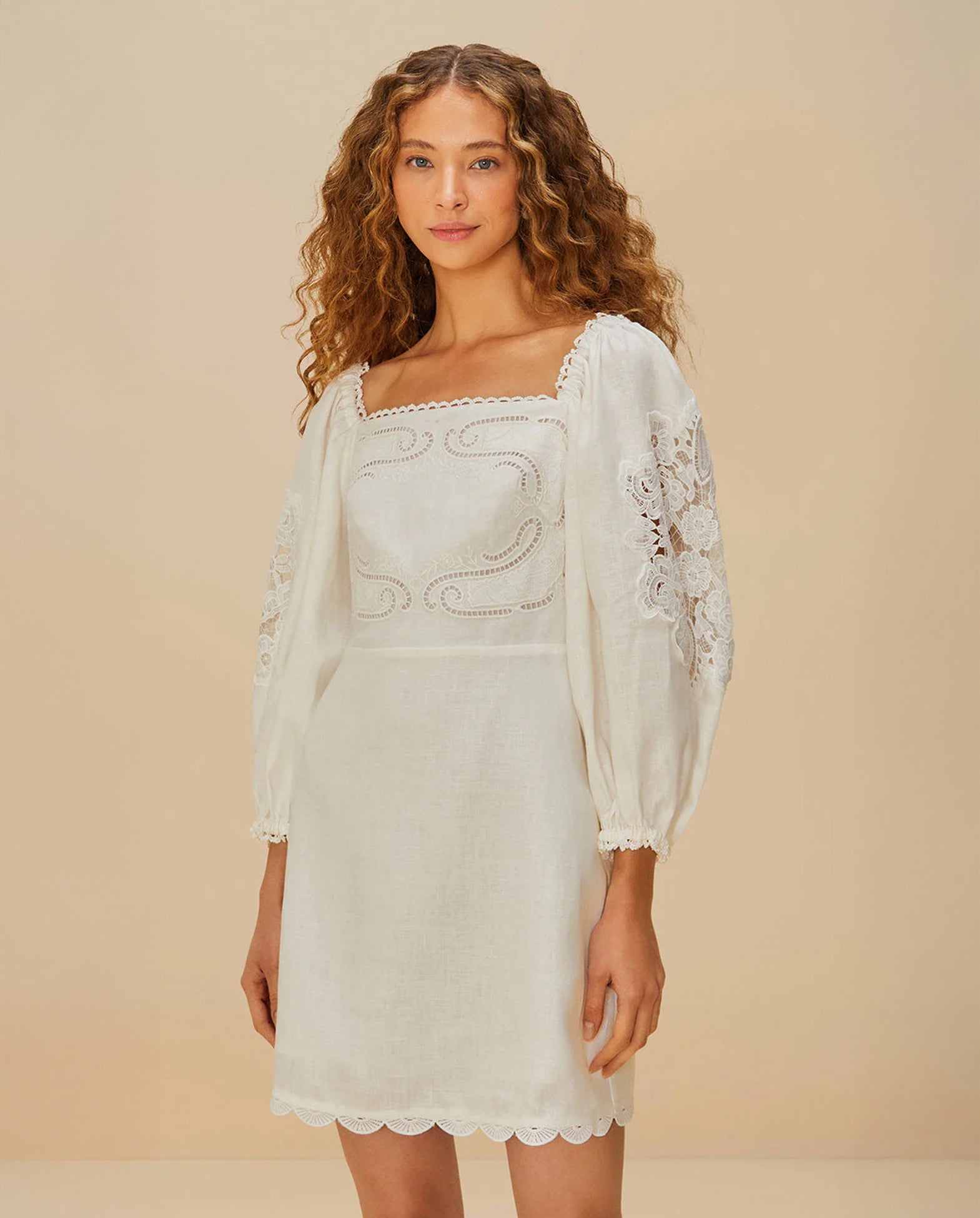 Embroidered Mini Dress