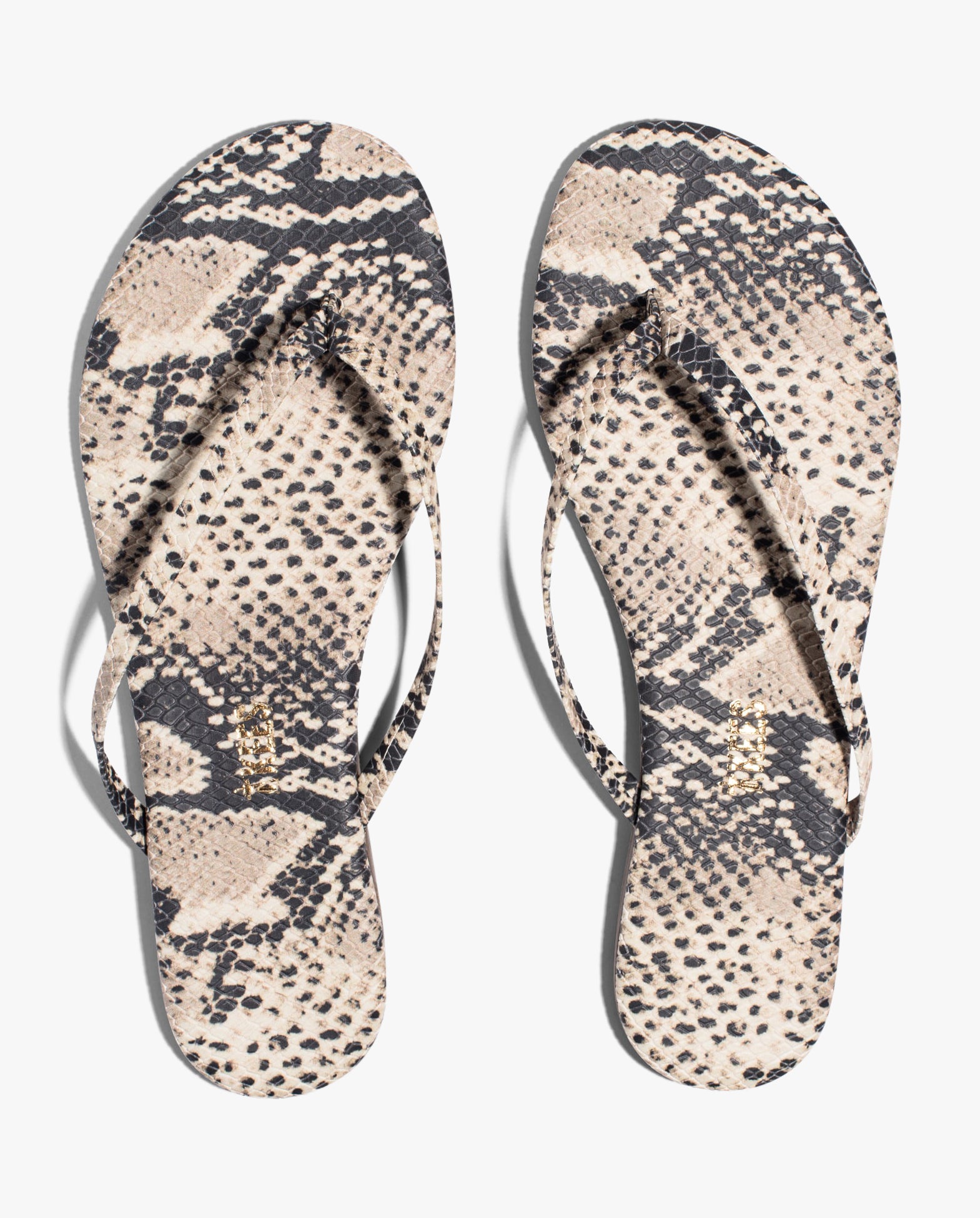 Studio Exotic Sansnake
