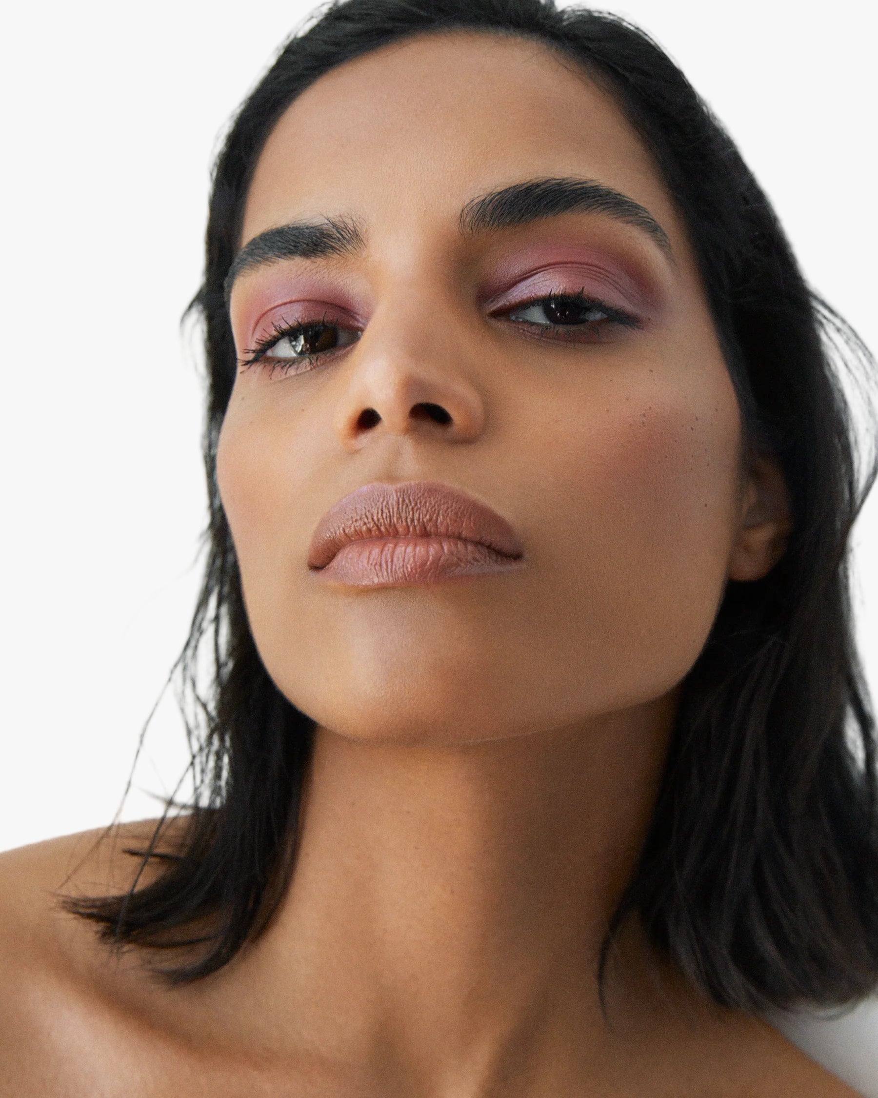 All Over Colour- Dianthus